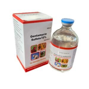 Gentamycin Sulfate 10% Antibiotics Anti-inflammatory