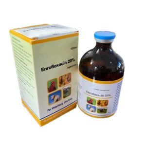 Enrofloxacin animal antibacterial agent injection for animals