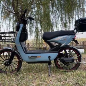 Electric motorcycle1